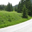 Regulated plot of land for sale near Pamporovo