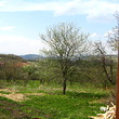 Renovated House Near Veliko Tarnovo