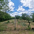 Rural house for sale near Pleven