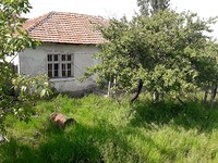 Houses in Svilengrad