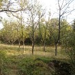 Rural property close to Lake Sopot