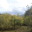 Rural property close to Lake Sopot