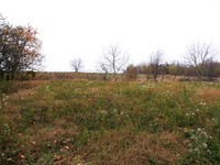 Regulated land in Pavlikeni