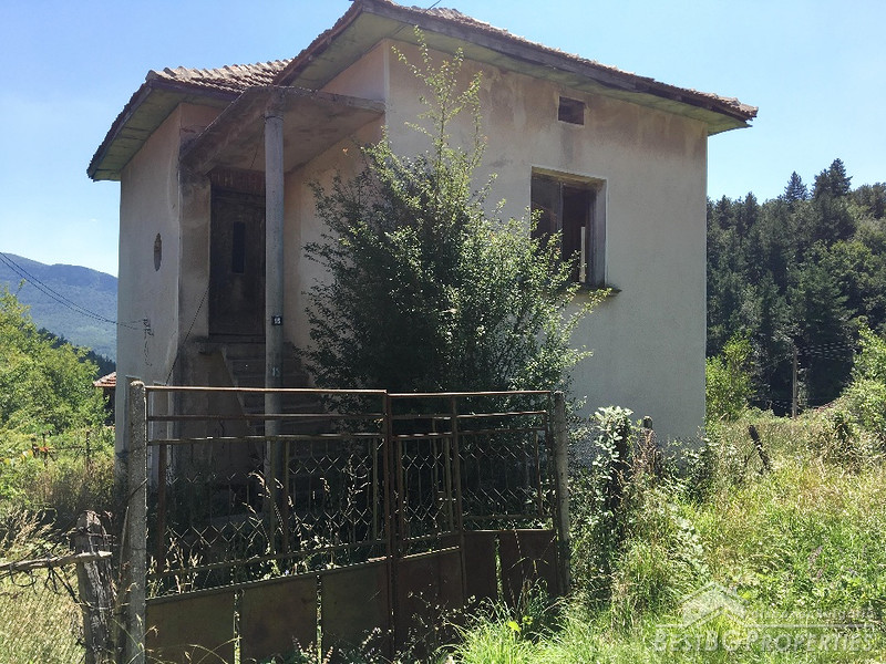 Rural property for sale near Belogradchik