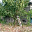 Rural property for sale near the town of Levski