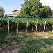 Small house with a fruit garden for sale near Hisarya