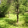 Two houses on a shared plot of land for sale near Troyan