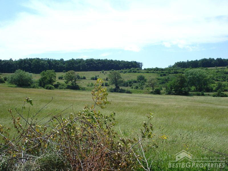 Two regulated plots of land for sale near Pernik