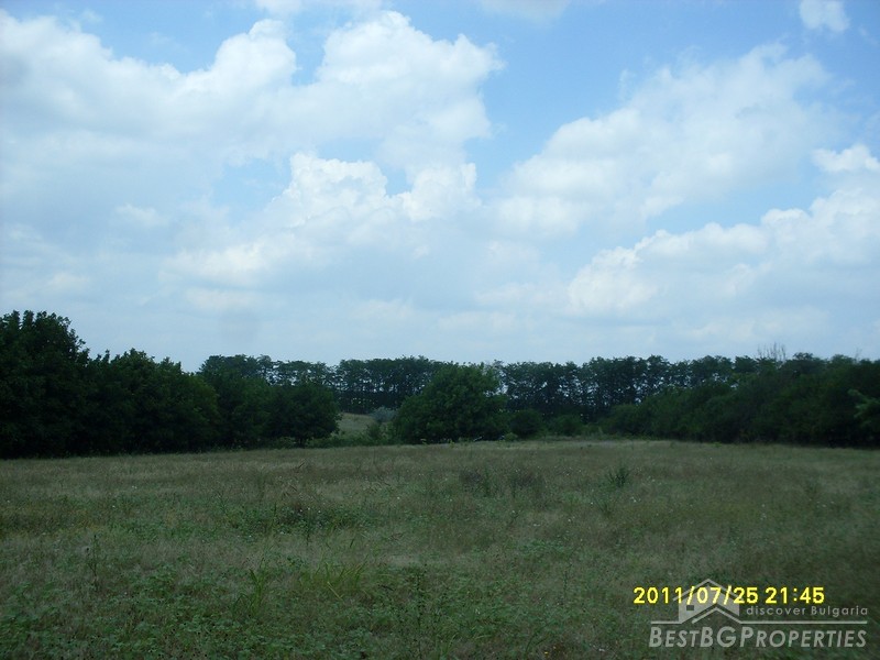 Two regulated plots of land for sale near Shabla