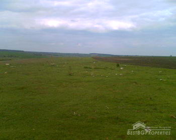 A Plot of Agricultural Land For Sale