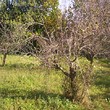 Old rural house for sale near Yambol