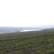 Land for sale on lake near Svilengrad