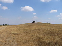 Agricultural land in Burgas