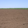 Agricultural land for sale near Kavarna