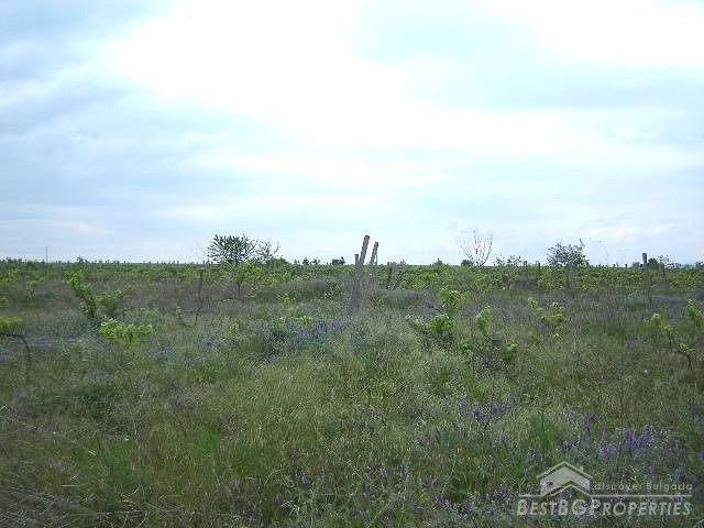Agricultural Land Near The Sea