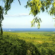 Apartments for sale near Abena