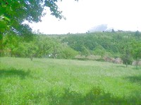 Regulated land in Berkovitsa