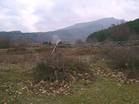 Development land in Sandanski