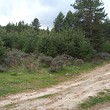 Development land for sale near Dobriniste