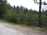 Development land in Bansko