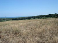 Development land in Varna