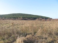 Regulated land in Stara Zagora