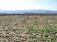 Agricultural land in Sunny Beach