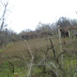 House in quiet village 15 km far from Pleven