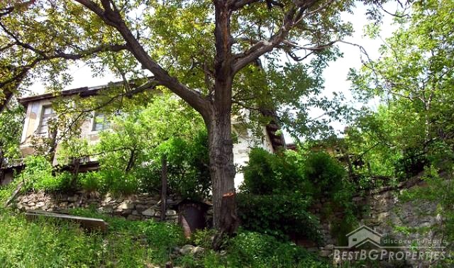 House Near Ski Resort