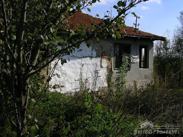 Old house with huge land near Elhovo