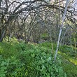 rural house with big land, at the end of a village close to Burgas