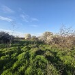 rural house with big land, at the end of a village close to Burgas