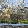 rural house with big land, at the end of a village close to Burgas