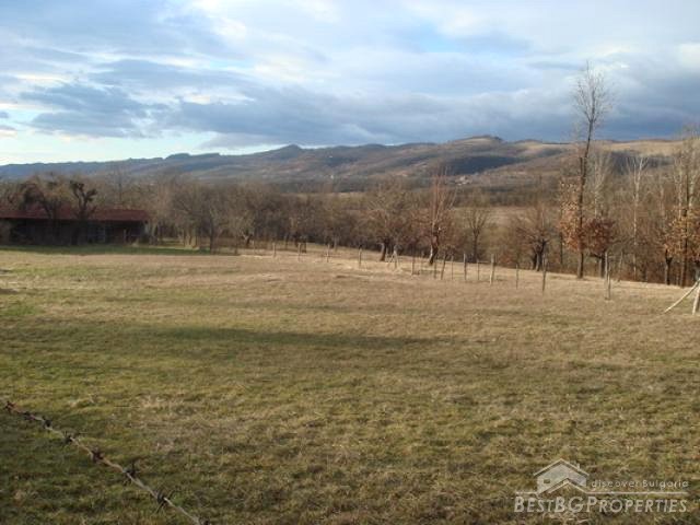 Land Close To Dam Lake Sopot