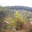 Plot of land for sale near Troyan