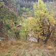 Plot of land for sale near Troyan