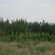 Land for sale near Pazardzhik