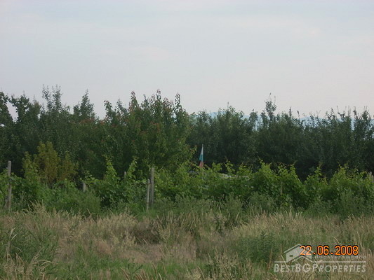 Land for sale near Pazardzhik