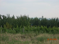 Development land in Pazardzhik