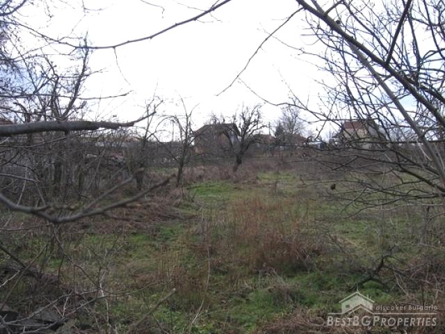 Land In Regulation Near The Sea
