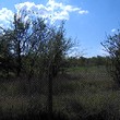 Land Near Strandzha Mountain