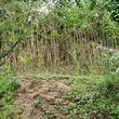 Land With A Collapsed House