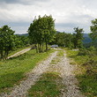 Regulated land with panoramic views close to Sandanski