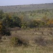 Agricultural land for sale near Bolyarovo