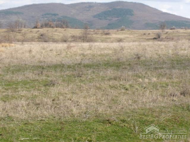 Large Peace Of Agricultural Land In The Strandzha Mountain