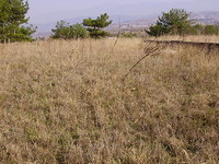 Agricultural land in Sandanski
