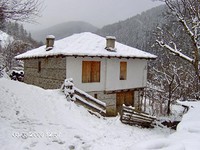 Houses in Pamporovo