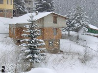 Villas in Pamporovo