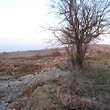 Nice Rural House Near The Strandzha Mountain