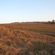 Nice Rural House Near The Strandzha Mountain